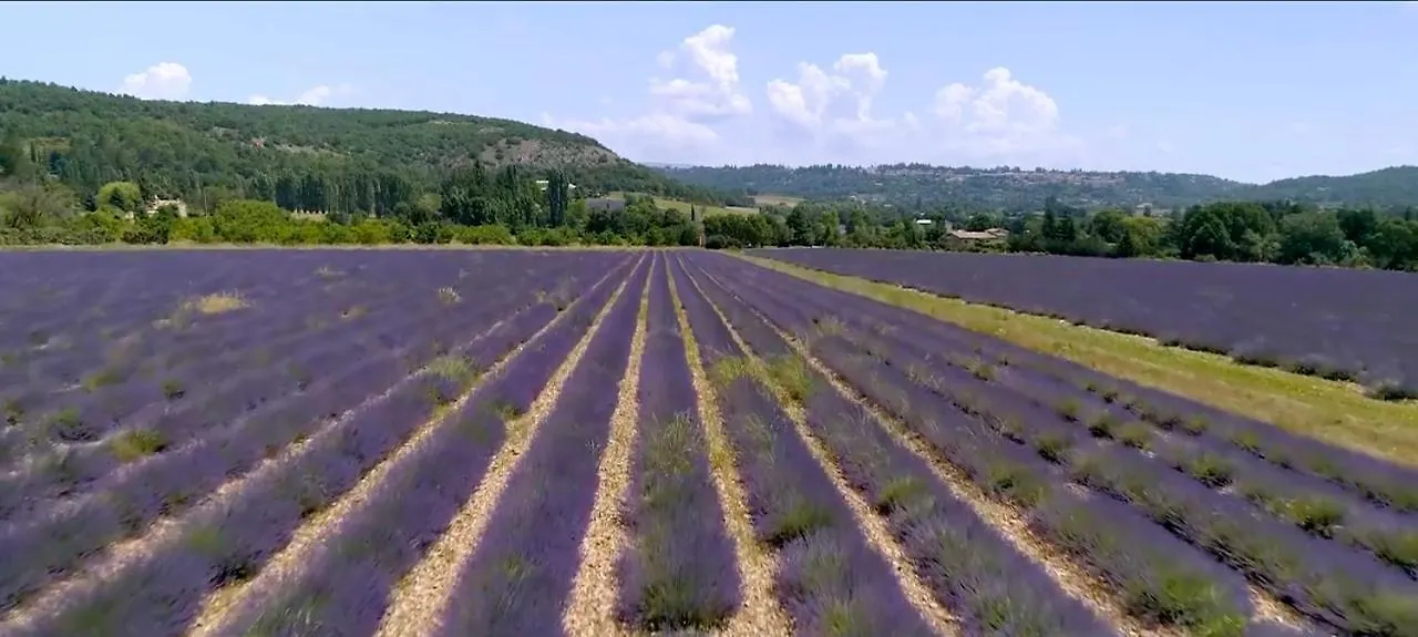 Le Nesk Ventoux - Hotel Sault
